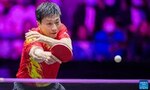 Ma Long